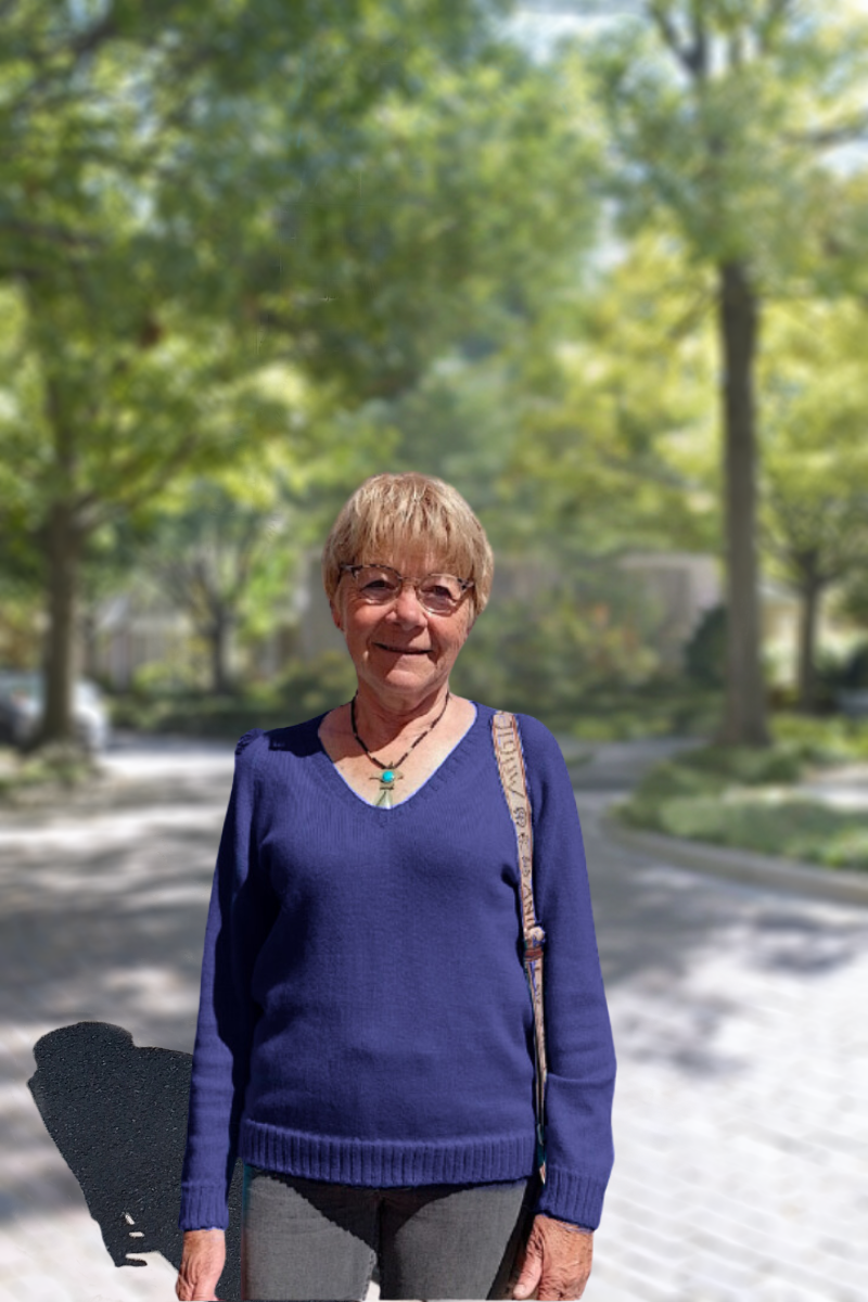 Pull Col V Femme – Tricot alpaga - Main Image